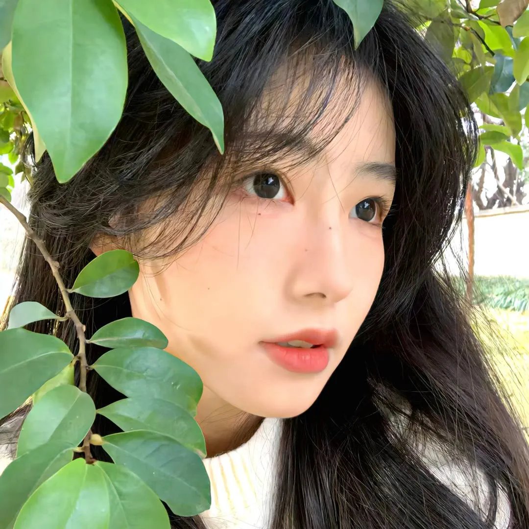 消失的大象